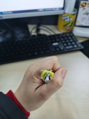 สายเคเบิลไฟเบอร์ออปติก ADSS แบบแจ็คเก็ตเดี่ยวที่ไม่ใช่โลหะ 6/12/24/48/96 Core 100/200m Span G652D